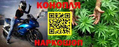 стафф Нальчик