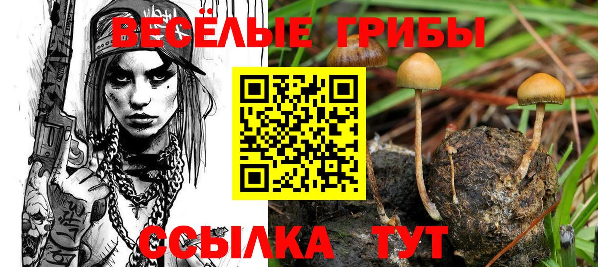 Галлюциногенные грибы мухоморы  Вход с VPN  Усинск  Галлюциногенные грибы GOLDEN TEACHER 