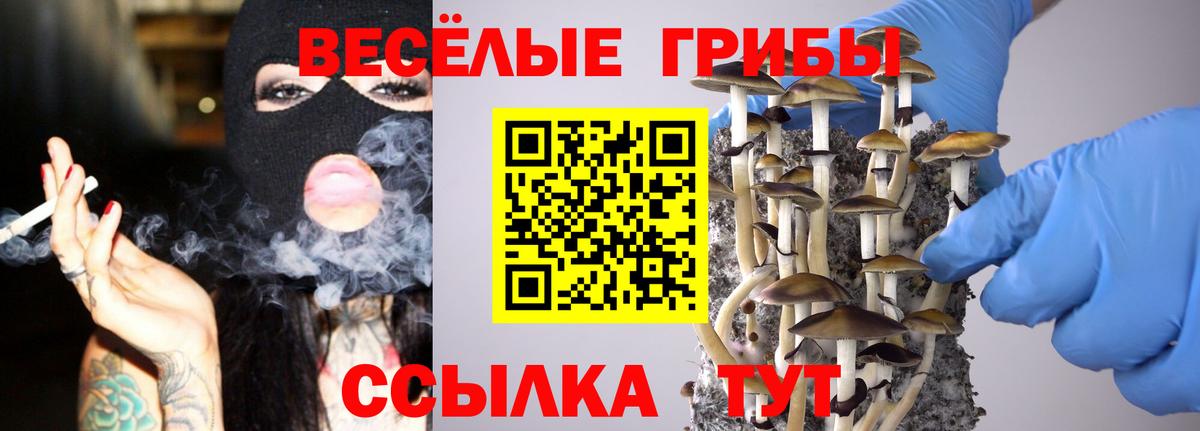 Псилоцибиновые грибы прущие грибы Усинск